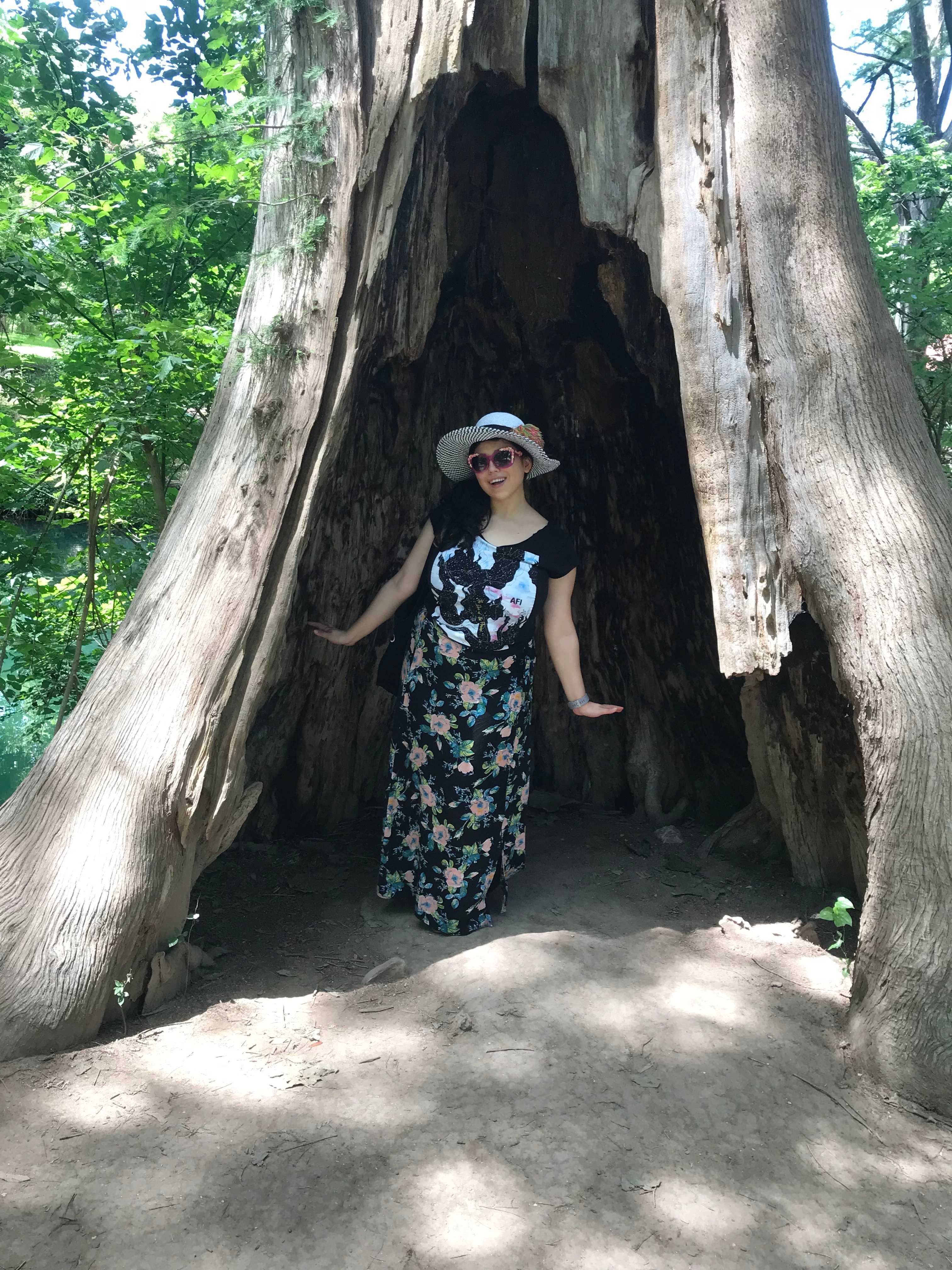 Road trip fun with a tree in Wimberley, Texas